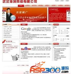 武漢海域網絡公司 從域名空間到IDC源碼的全棧互聯網服務商